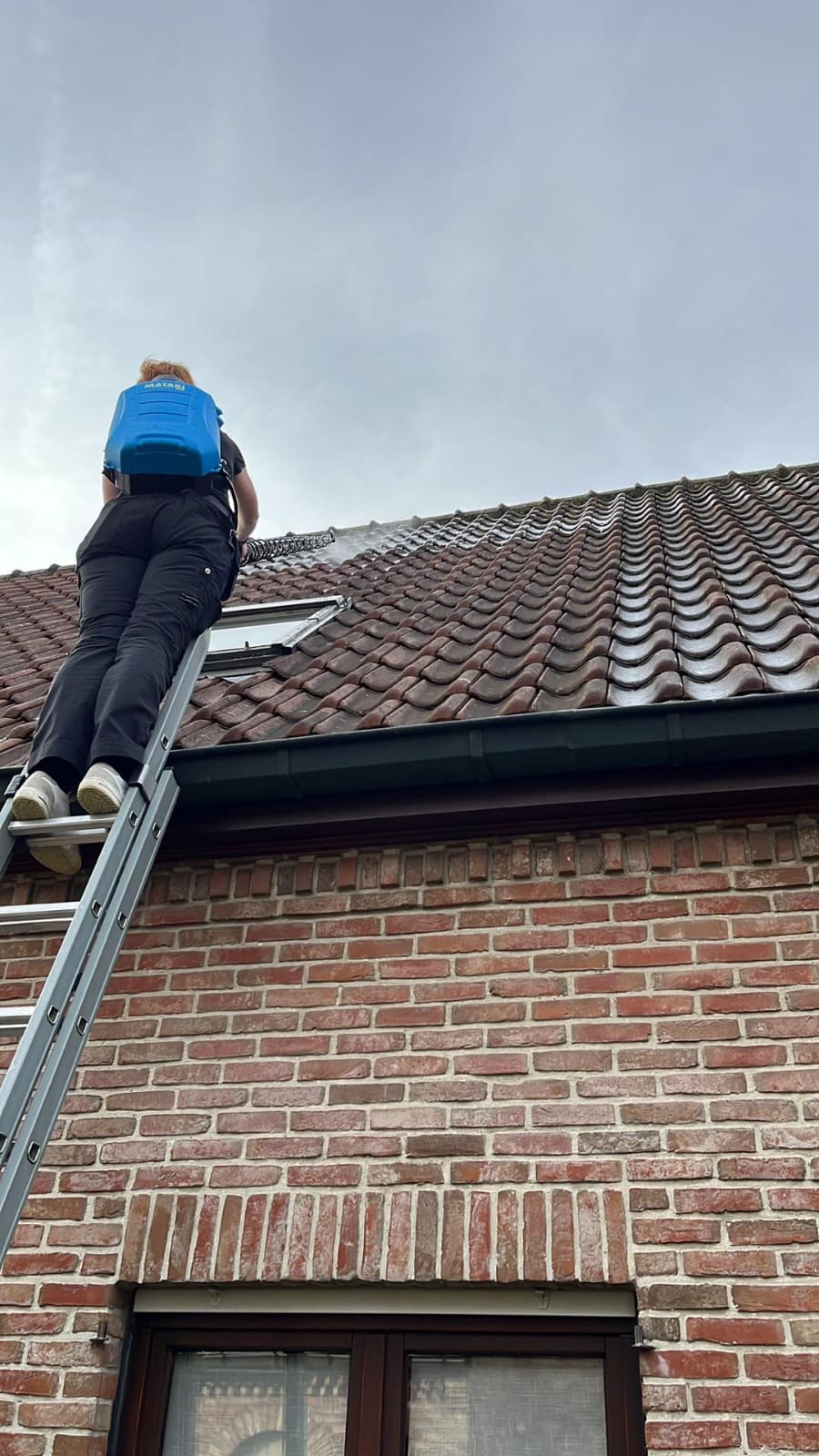 Ontmossen daken